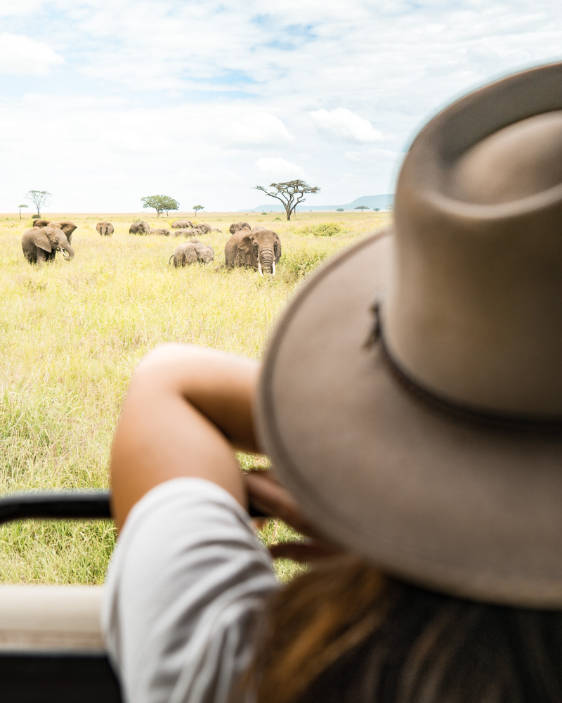 Beyond My Wildest Dreams - Two Weeks in Tanzania