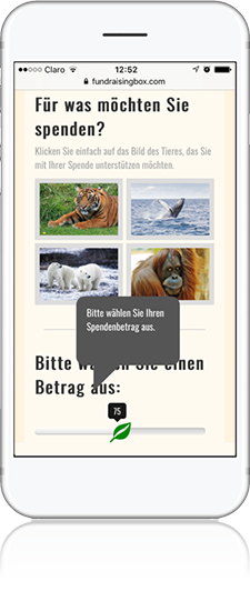 Tour I FundraisingBox I Spendenformular auf Smartphone