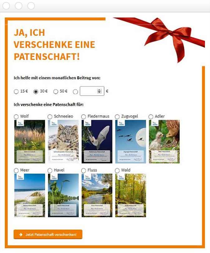 Spendenformular für Geschenkpatenschaft