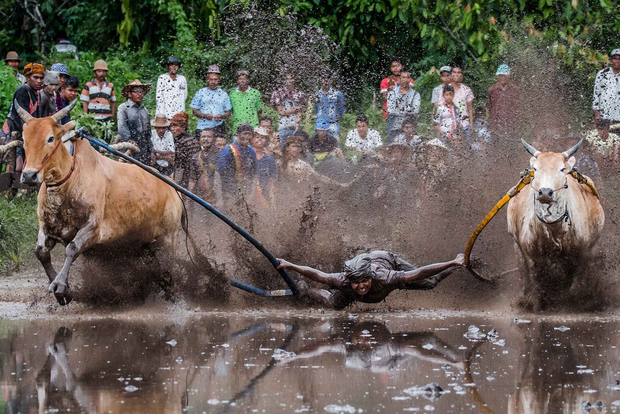 Imagem de capa
