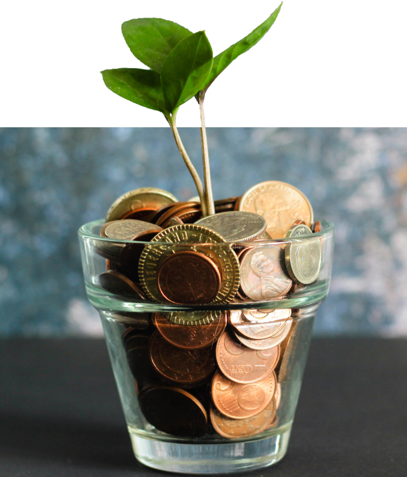 Laat je budget toenemen met budgetcoaching