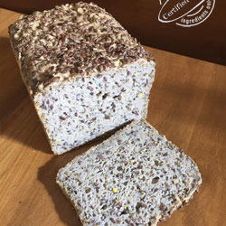 Buckwheat