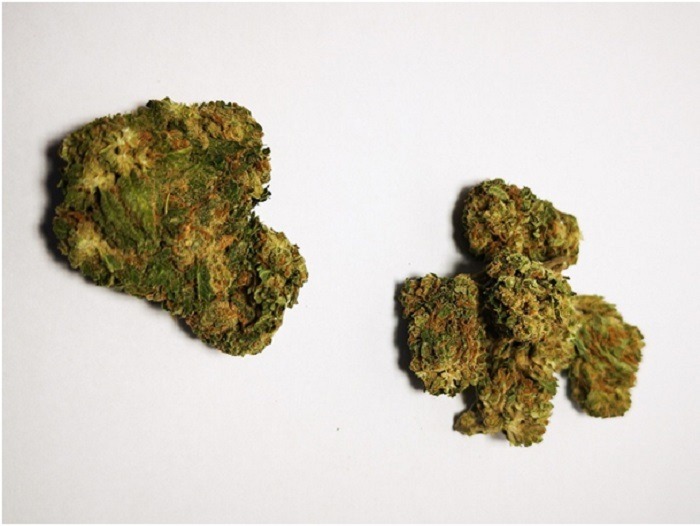 Fumer des fleurs ou résines de cannabis est-il dangereux