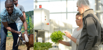 Mid-Atlantic Food Port Feasibility Study image