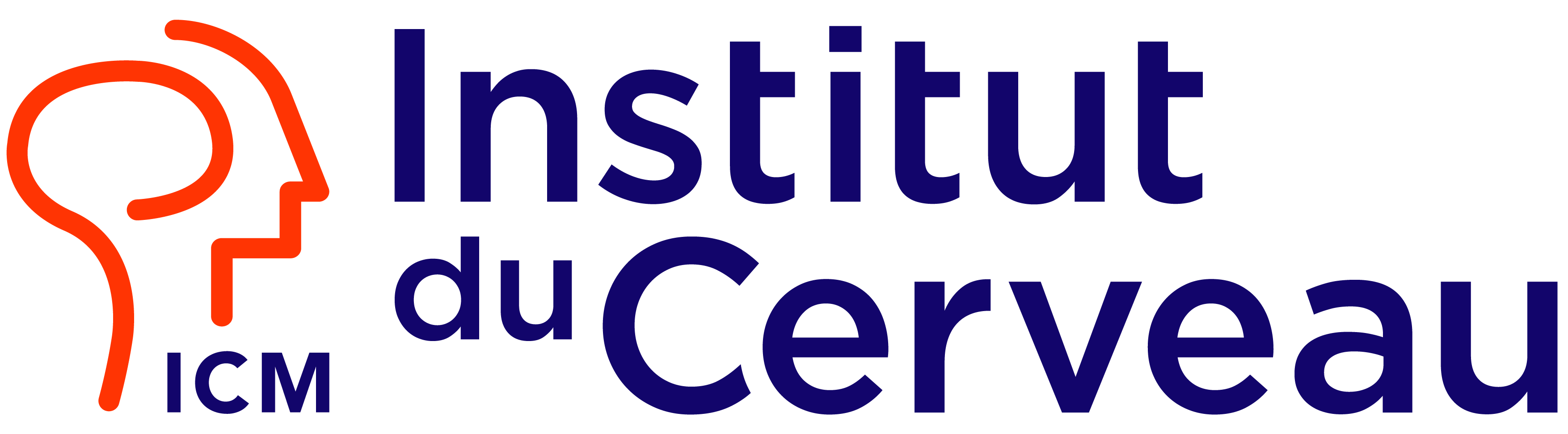 Logo ICM