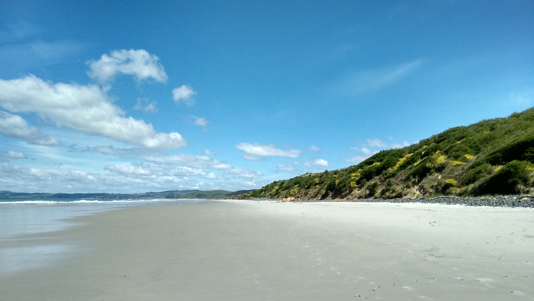 Blackhead Beach Dunedin Attractions