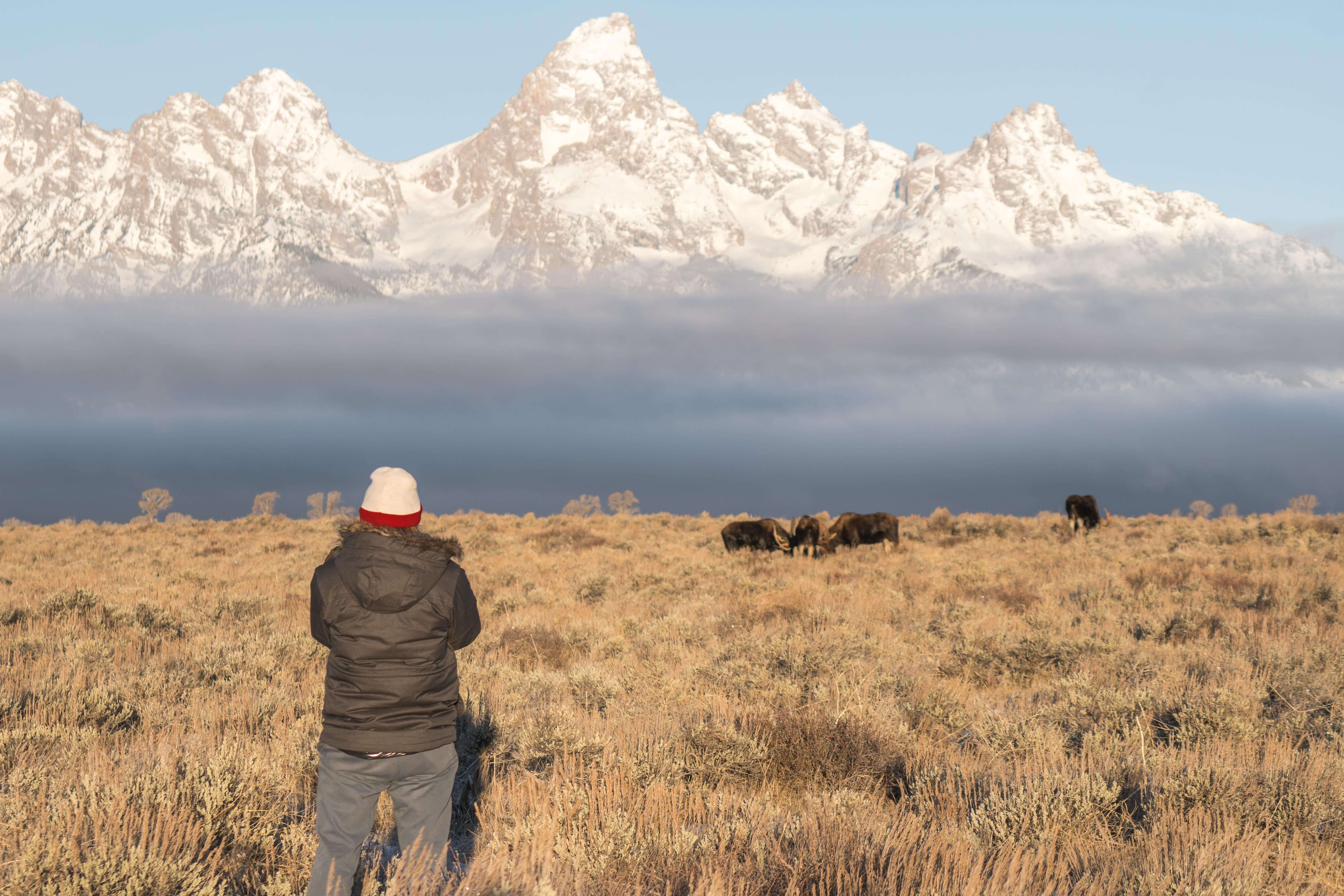 There's nothing like spending the morning with a couple of fighting bull moose