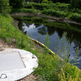 Capitol Region Watershed District - Curtiss Pond