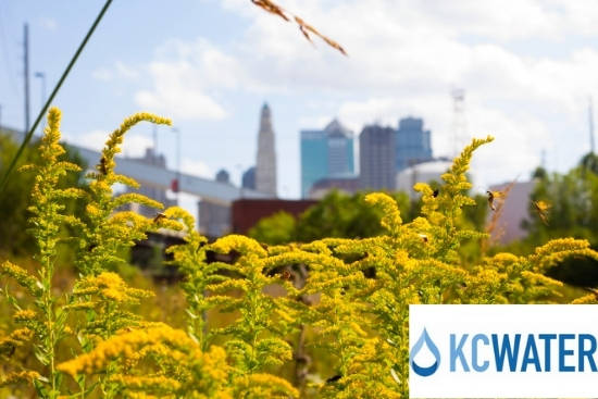 Kansas City, MO
