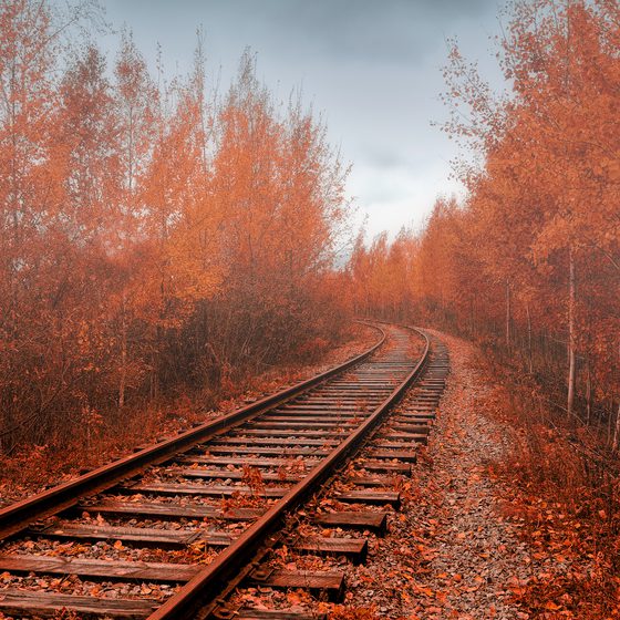 Photo of the P&LE railroad in Whitsett, PA which is now the Great Allegheny Passage.