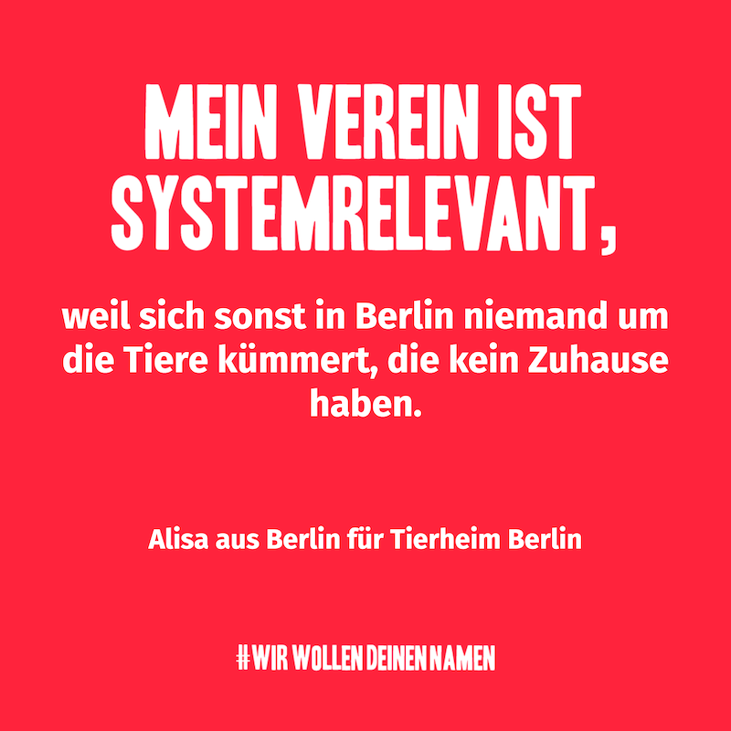 Mein Verein ist systemrelevant, weil sich sonst in Berlin niemand um die Tiere kümmert, die kein Zuhause haben. – Alisa aus Berlin für Tierheim Berlin
