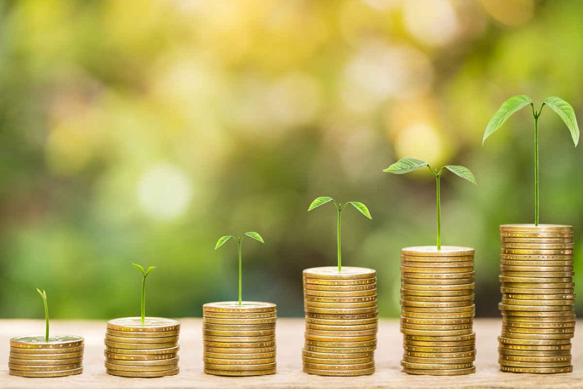 Economia Sustentável: o que é e como posso aplicar?
