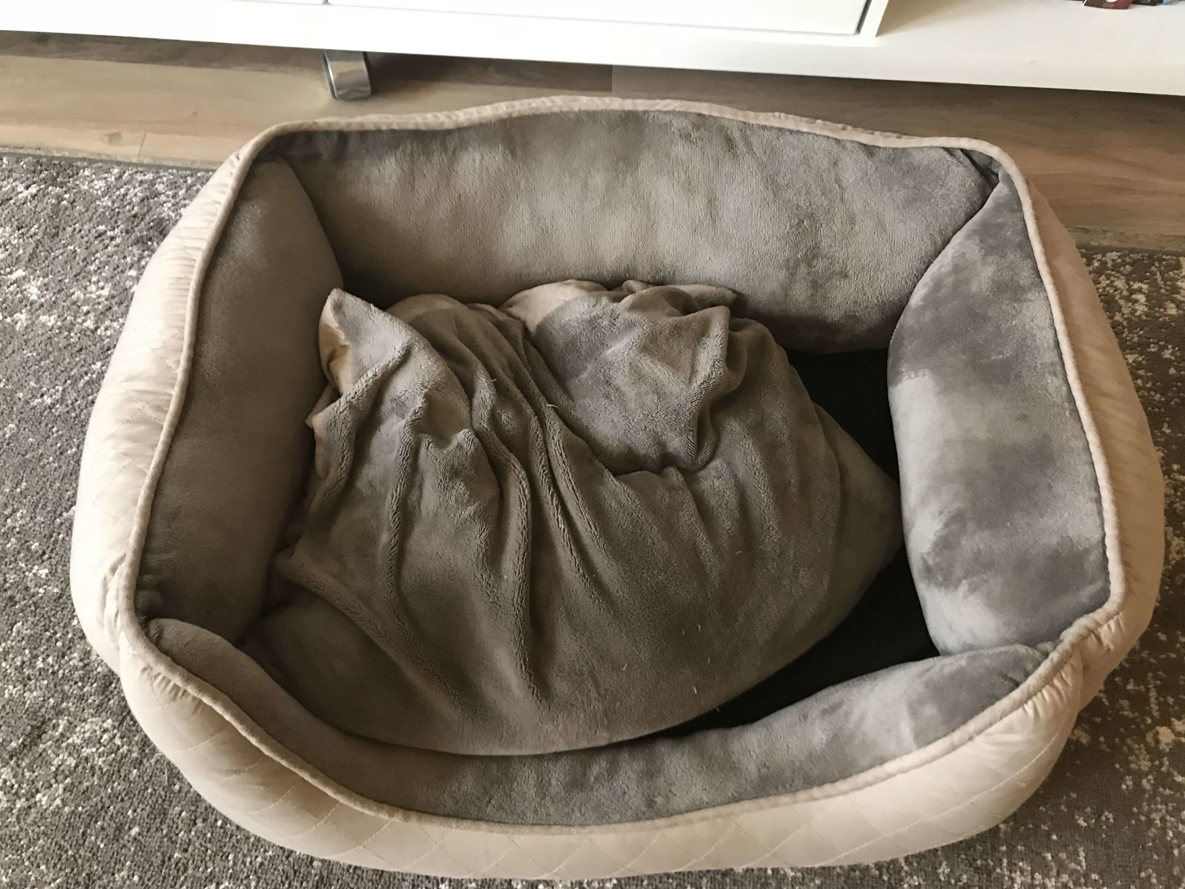 Petfusion Ultimate Dog Bed Review: Best Dog Bed Ever? | Natural Dog Owner