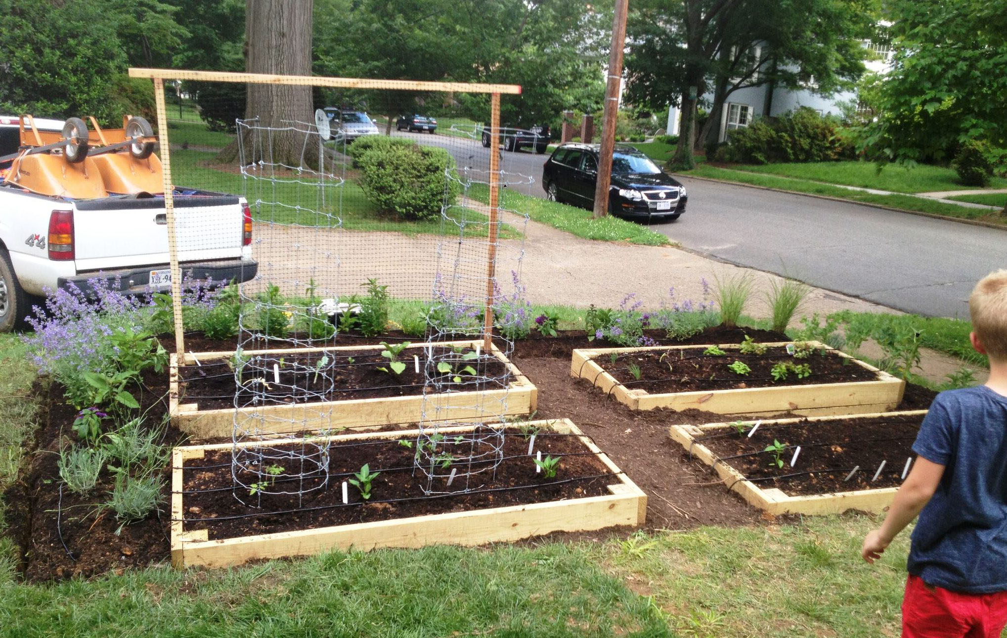 why you should plant a front yard veggie garden