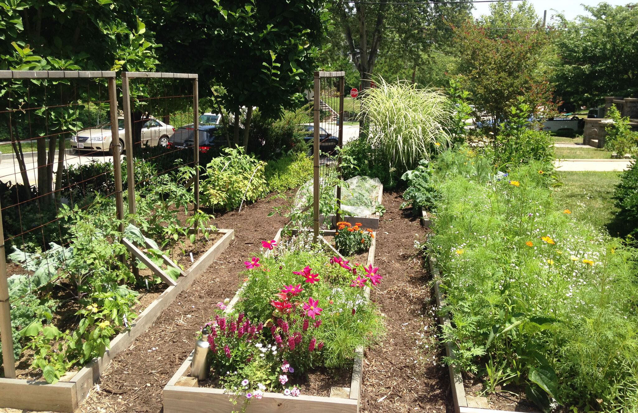Why You Should Plant A Front Yard Veggie Garden