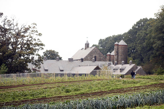 stonebarns