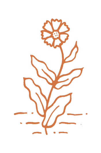 Creme De Flora Graphic