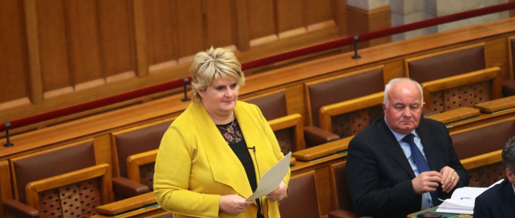 Hohn Krisztina